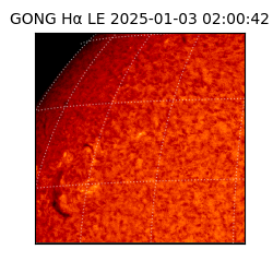 gong - 2025-01-03T02:00:42