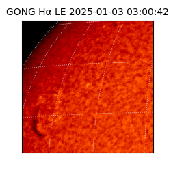 gong - 2025-01-03T03:00:42