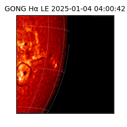 gong - 2025-01-04T04:00:42