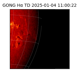 gong - 2025-01-04T11:00:22