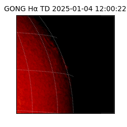 gong - 2025-01-04T12:00:22