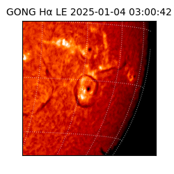 gong - 2025-01-04T03:00:42