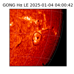 gong - 2025-01-04T04:00:42