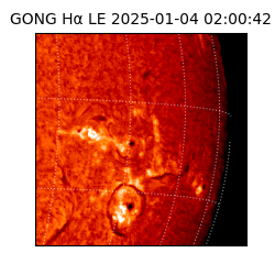 gong - 2025-01-04T02:00:42