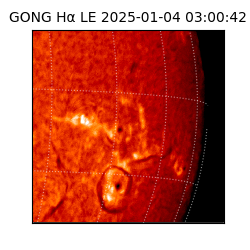 gong - 2025-01-04T03:00:42