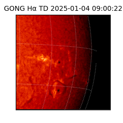 gong - 2025-01-04T09:00:22