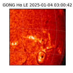 gong - 2025-01-04T03:00:42