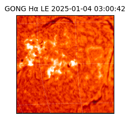 gong - 2025-01-04T03:00:42