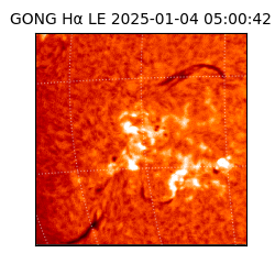 gong - 2025-01-04T05:00:42