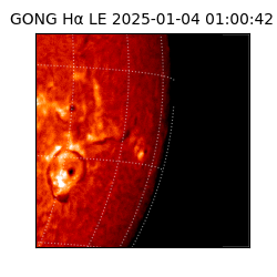 gong - 2025-01-04T01:00:42