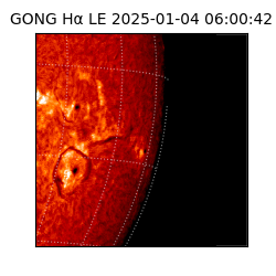 gong - 2025-01-04T06:00:42