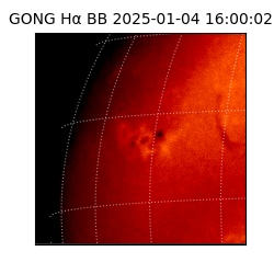 gong - 2025-01-04T16:00:02