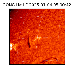 gong - 2025-01-04T05:00:42