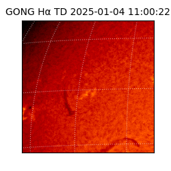 gong - 2025-01-04T11:00:22