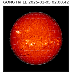gong - 2025-01-05T02:00:42