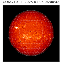 gong - 2025-01-05T06:00:42