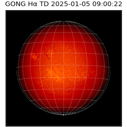 gong - 2025-01-05T09:00:22