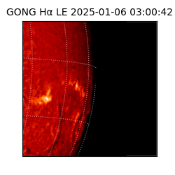 gong - 2025-01-06T03:00:42