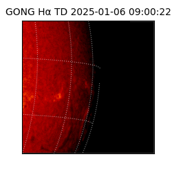 gong - 2025-01-06T09:00:22