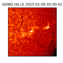 gong - 2025-01-06T05:00:42