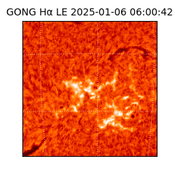 gong - 2025-01-06T06:00:42