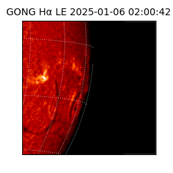 gong - 2025-01-06T02:00:42