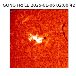 gong - 2025-01-06T02:00:42