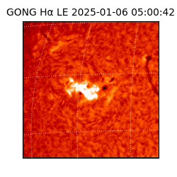 gong - 2025-01-06T05:00:42