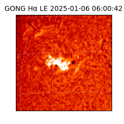 gong - 2025-01-06T06:00:42