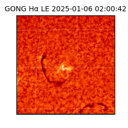 gong - 2025-01-06T02:00:42