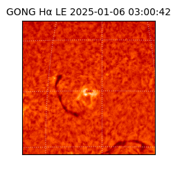 gong - 2025-01-06T03:00:42