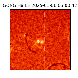 gong - 2025-01-06T05:00:42