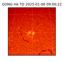 gong - 2025-01-06T09:00:22