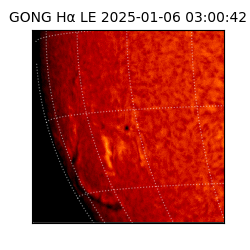 gong - 2025-01-06T03:00:42