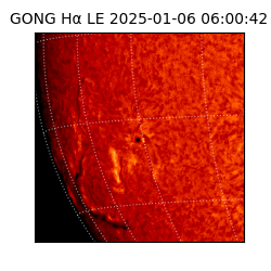 gong - 2025-01-06T06:00:42