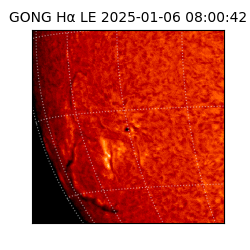 gong - 2025-01-06T08:00:42