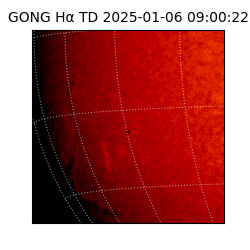 gong - 2025-01-06T09:00:22