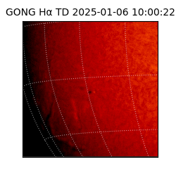 gong - 2025-01-06T10:00:22