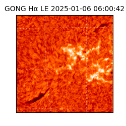 gong - 2025-01-06T06:00:42