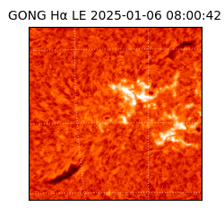 gong - 2025-01-06T08:00:42