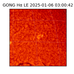 gong - 2025-01-06T03:00:42