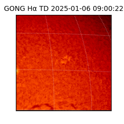 gong - 2025-01-06T09:00:22
