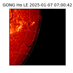 gong - 2025-01-07T07:00:42