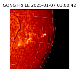 gong - 2025-01-07T01:00:42