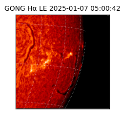 gong - 2025-01-07T05:00:42