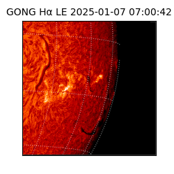 gong - 2025-01-07T07:00:42