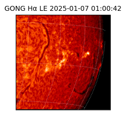 gong - 2025-01-07T01:00:42