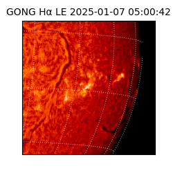 gong - 2025-01-07T05:00:42