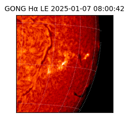 gong - 2025-01-07T08:00:42
