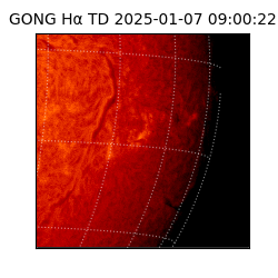 gong - 2025-01-07T09:00:22